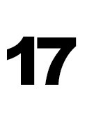 Kołpaki 17 cali